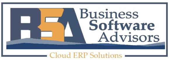 Business Software Advisors